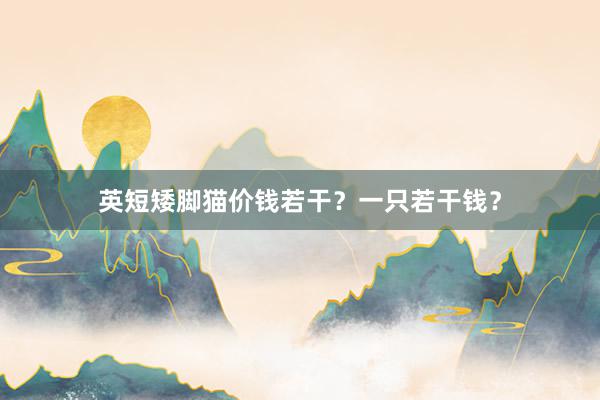 英短矮脚猫价钱若干？一只若干钱？